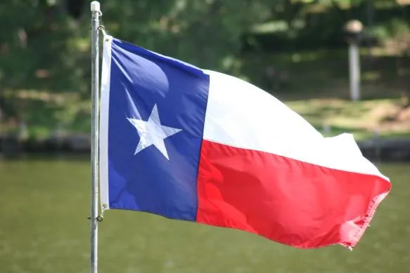 Texas Flag